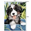 Painting by numbers 40x30cm - dog Maaleo 22780