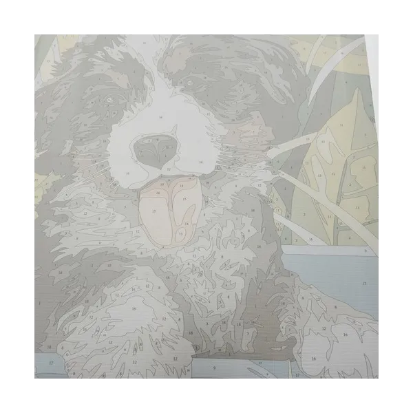 Maalaus numeroilla 40x30cm - koira Maaleo 22780