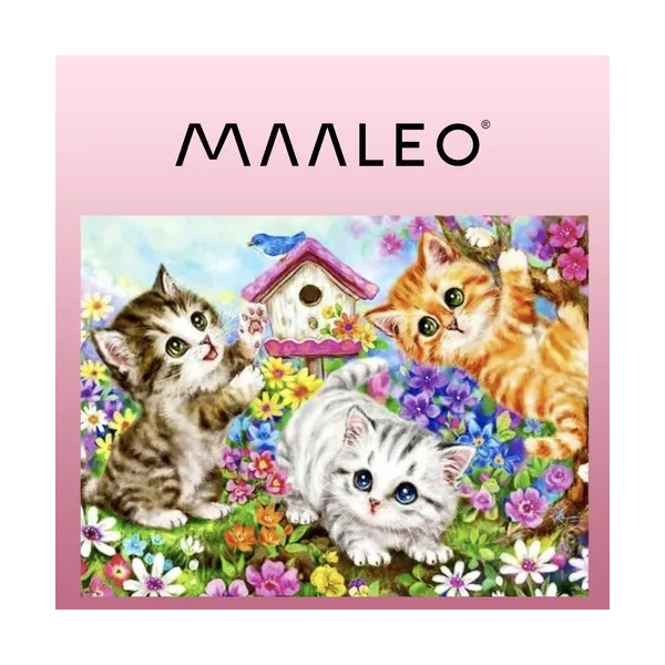 Painting by numbers 40x50cm - cats Maaleo 22781