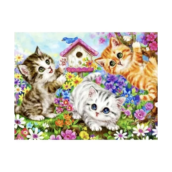 Painting by numbers 40x50cm - cats Maaleo 22781