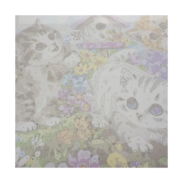 Tapyba pagal skaičius 40x50cm - Maaleo cats 22781