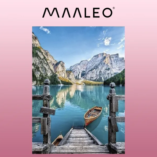 Maalaus numeroilla 40x50cm - Maaleo-maalaus 22785