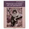 Maalaus numeroilla 40x50cm - Maaleo kissa 22783