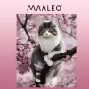 Maalaus numeroilla 40x50cm - Maaleo kissa 22783