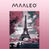 Maalaus numeroilla 40x50cm - Maaleo-torni 22784