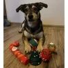 Kalėdinė dovana šuniui - Purlov 22637 žaislai