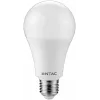 LED Globe E27 18W WW