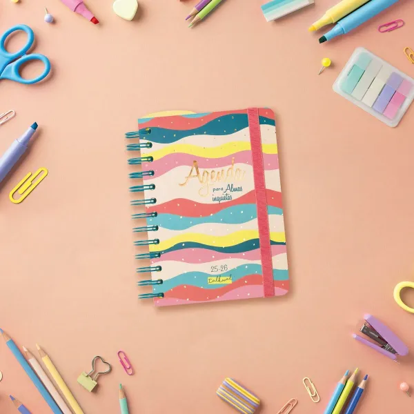 Diary Finocam