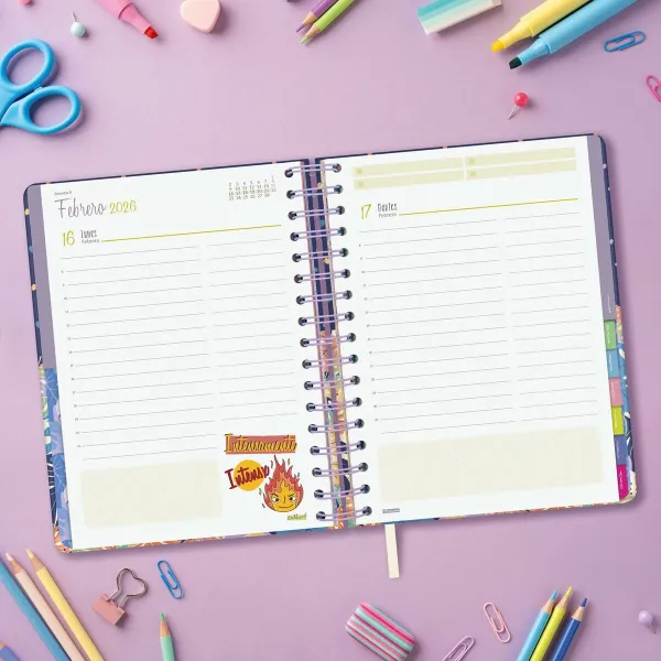 Diary Finocam