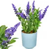 Artificial decorative flower Springos HA7428