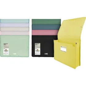 Kansio Grafoplas MAXI A4+ (14 osaa)