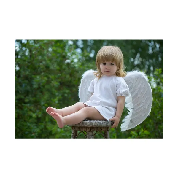 Angel Costume Kruzzel 22560