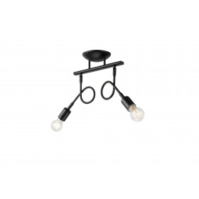 LM-2.100 HARRY 2-light industrial ceiling lamp