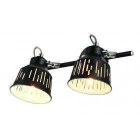 LM-2.91 JACK 2-light spot ceiling lamp