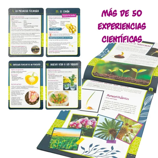 Science Game Lisciani Giochi Botánica ES (6 Units)