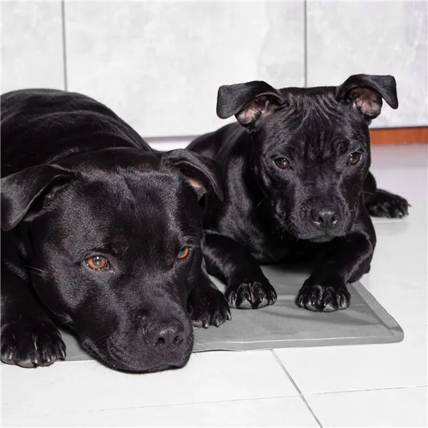 Охлаждающий коврик Springos PA2009