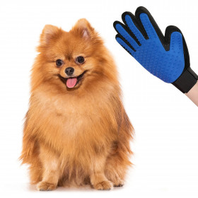 Kampaushanska Springos PA0215