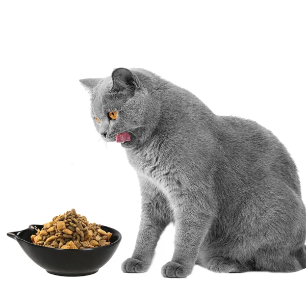 Eläimen kulho Springos PA0201