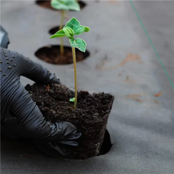 Agrotekstiili rikkaruohoja vastaan Springos AG0025 70g/m2 1,6x100 m