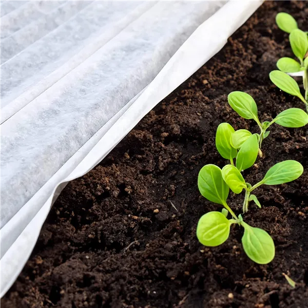 Žieminė agrotekstilė Springos AG0012 17g/m2 20x3,2m balta