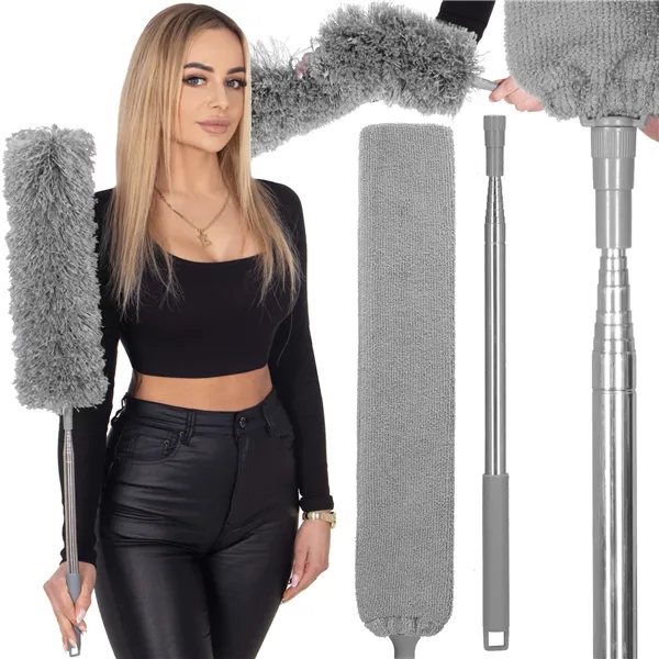 Pölyharja Springos HA7462