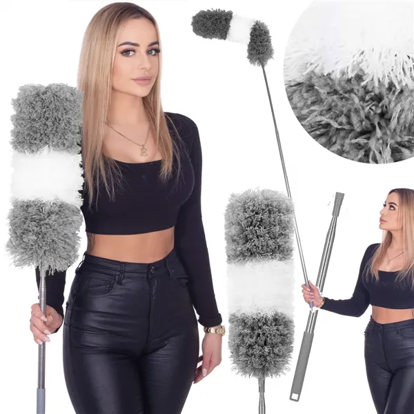 Pölyharja Springos HA7465