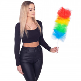 Dulkių šepetėlis Springos HA7464