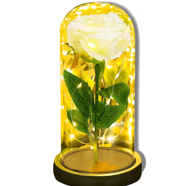 Вечная роза в стекле Springos HA7443