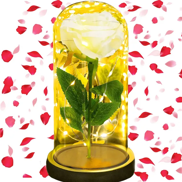 Amžina rožė stiklinėje Springos HA7443