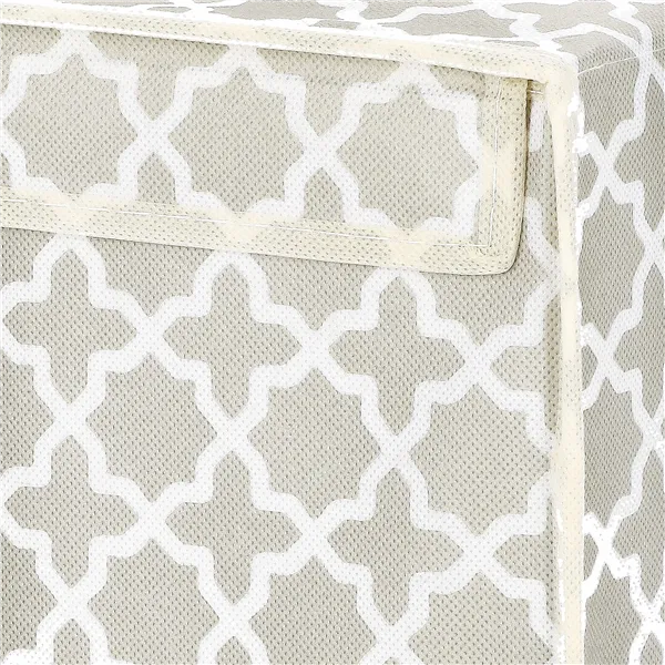 Säilytyslaatikko Springos HA3043