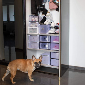 Apavu kaste Springos HA3000