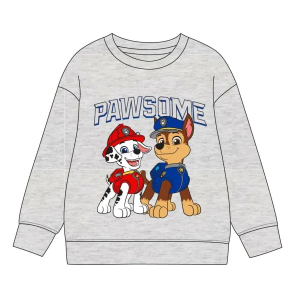 Lasten huputon collegepaita The Paw Patrol Harmaa