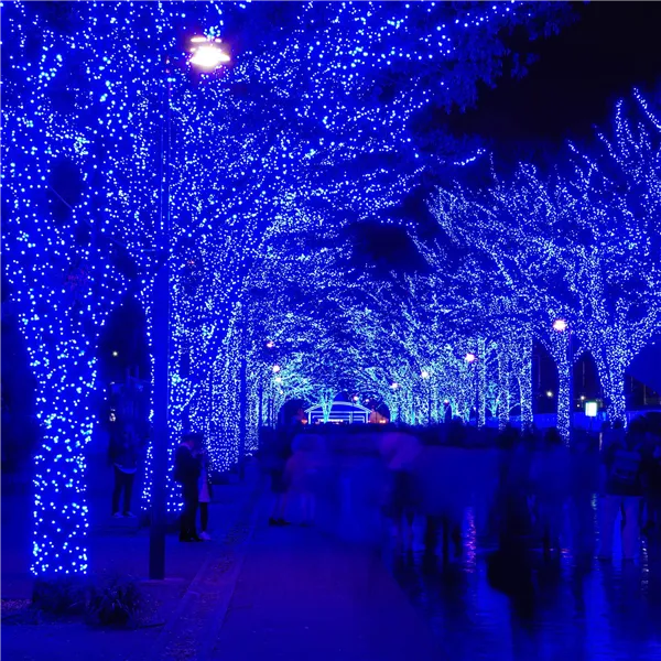 Joulukoristevalot Springos CL0527 500 LED