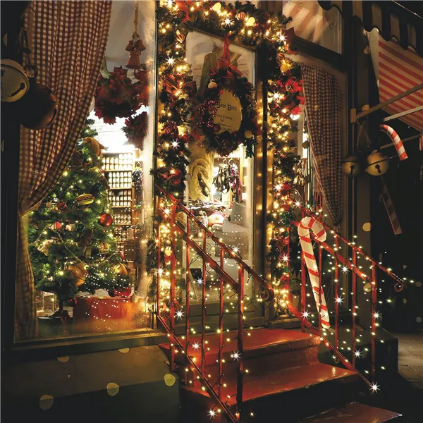 Kalėdinės lemputės Springos CL4082 17.5 m