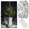 Christmas Tree Lights 30 LED Micro Wire Battery-Powered Cool White