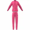 Vaikiškas sportinis kostiumas Adidas  G3S PES TS HM4415 Rožinė
