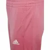 Vaikiškas sportinis kostiumas Adidas  G3S PES TS HM4415 Rožinė