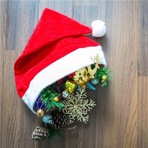 CA0028 JOULUKIN HATU