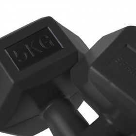 FA1036 HEX DUMBS 2 X 5 KG
