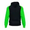 Толстовка с капюшоном детская Joma Sport Academy IV