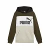 Bērnu Sporta Krekls ar Kapuci Puma Essentials Block