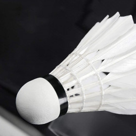 Badmintono kamuoliukai Springos KG0009