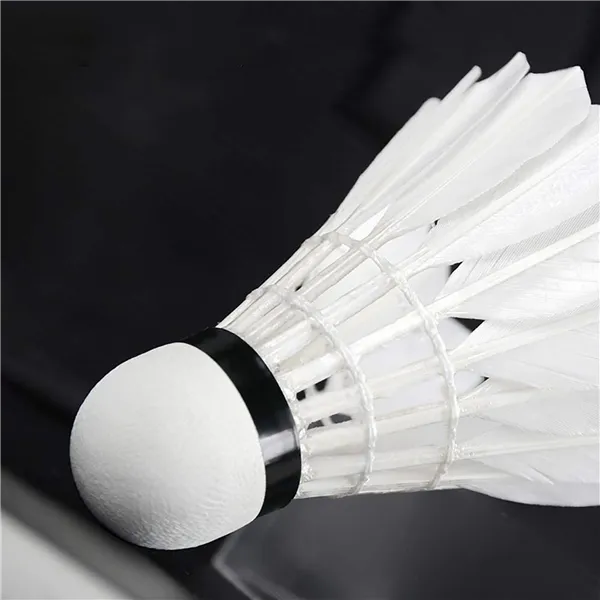 Badmintono kamuoliukai Springos KG0009
