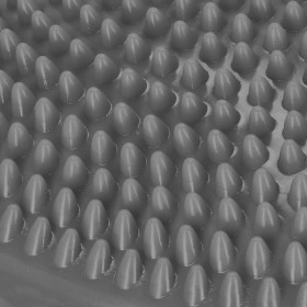 Fitnesa līdzsvara spilvens+pumpis Springos FA0078