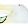 Bestway Inflatable Float with Handles Jungle D114 cm +12 Years Beach Pool 36448