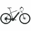 Electric Bike Youin BK3000 EVEREST 250 W 29" Black