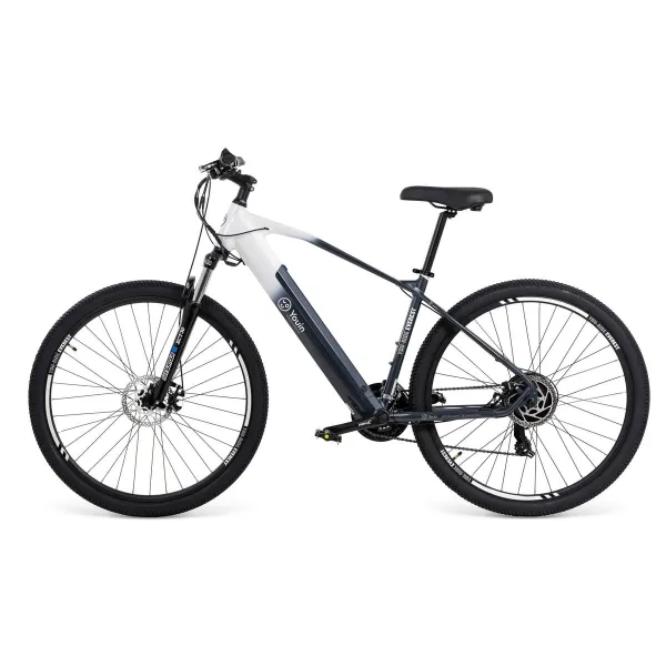 Electric Bike Youin BK3000 EVEREST 250 W 29" Black