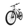 Electric Bike Youin BK3000 EVEREST 250 W 29" Black