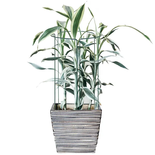 Металлическая опора для цветов и растений Springos HA5170 75 см