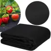 Agrotekstiil umbrohutõrjeks Springos AG0023 50g/m2 3,2x10 m